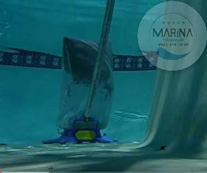 olimpik-havuz-temizleme